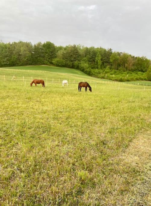 Appartamento In Cascina -La Cascinetta Di Ali- Roatto Eksteriør billede