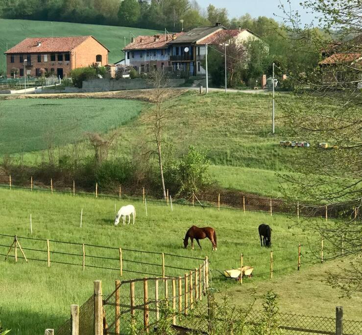 Appartamento In Cascina -La Cascinetta Di Ali- Roatto Eksteriør billede