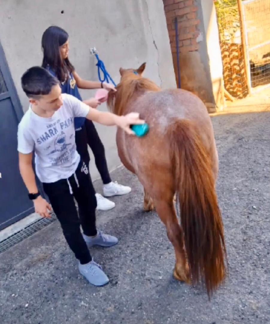 Appartamento In Cascina -La Cascinetta Di Ali- Roatto Eksteriør billede